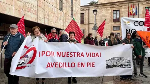 Manifestaci&oacute;n contra las plantas de biog&aacute;s Zamora _16
