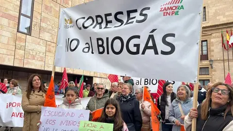 Manifestaci&oacute;n contra las plantas de biog&aacute;s Zamora _17