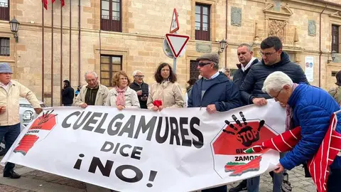 Manifestaci&oacute;n contra las plantas de biog&aacute;s Zamora _20