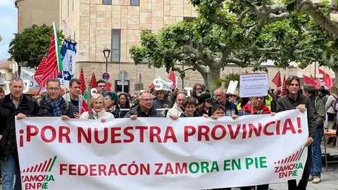 Manifestaci&oacute;n contra las plantas de biog&aacute;s Zamora _23
