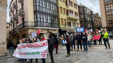 Manifestaci&oacute;n contra las plantas de biog&aacute;s Zamora _27