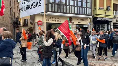 Manifestaci&oacute;n contra las plantas de biog&aacute;s Zamora _28