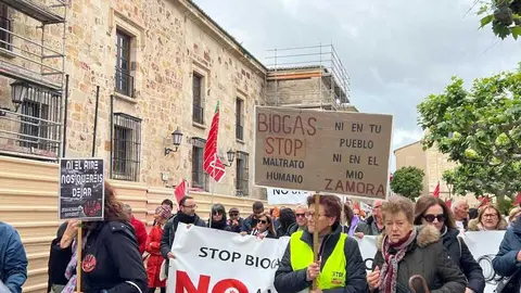 Manifestaci&oacute;n contra las plantas de biog&aacute;s Zamora _29