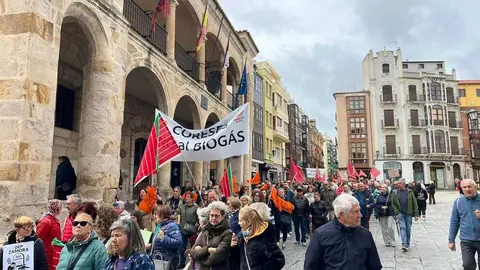 Manifestaci&oacute;n contra las plantas de biog&aacute;s Zamora _30