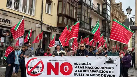 Manifestaci&oacute;n contra las plantas de biog&aacute;s Zamora _35