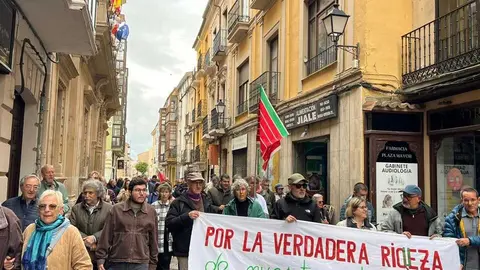 Manifestaci&oacute;n contra las plantas de biog&aacute;s Zamora _36