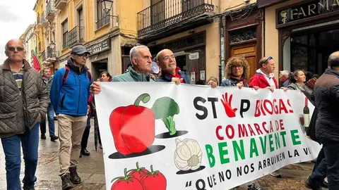 Manifestaci&oacute;n contra las plantas de biog&aacute;s Zamora _37