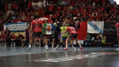 balonmano zamora ascenso (8)