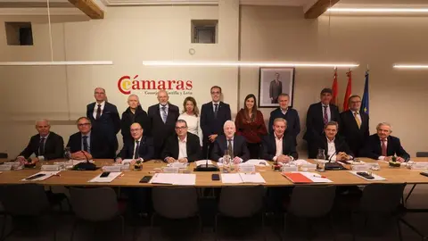 PLENO CONSEJO CAMARAS