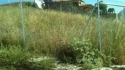 Zona de Bellavista