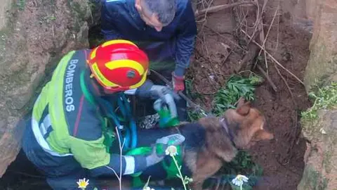 Rescate de un perro en Moraleja del Vino