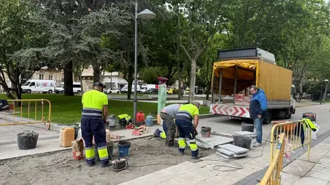 Trabajadores Zamora 