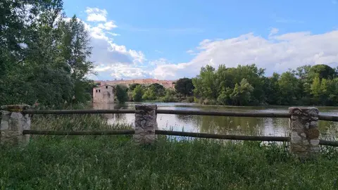 Ace&ntilde;as de CAba&ntilde;ales