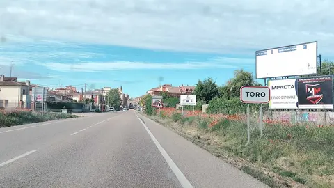 Toro15