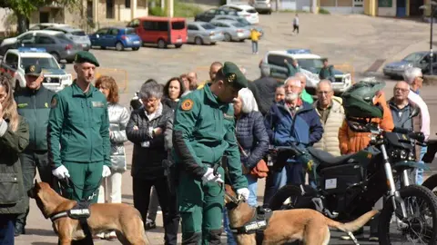 GUARDIA CIVIL SANABRIA DESFILE_67