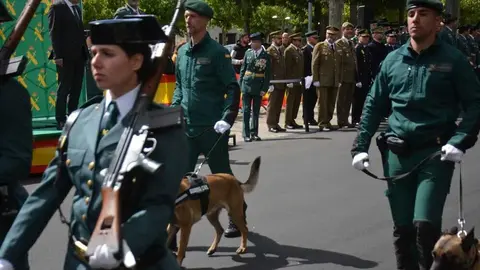 GUARDIA CIVIL SANABRIA DESFILE_261