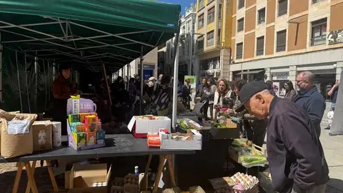 mercado ecol&oacute;gico _3