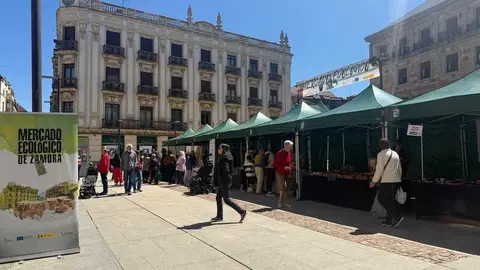 mercado ecol&oacute;gico _14