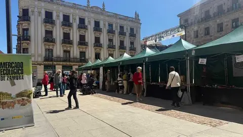 mercado ecol&oacute;gico _15