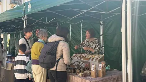 mercado ecol&oacute;gico _16