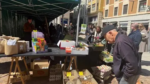 mercado ecol&oacute;gico _23