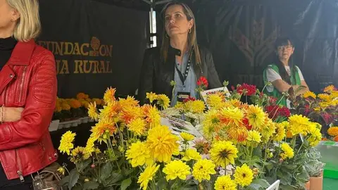 festival Coraz&oacute;n de Madre_3