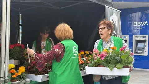 festival Coraz&oacute;n de Madre_6