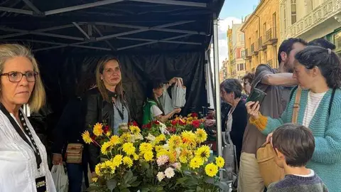 festival Coraz&oacute;n de Madre_36