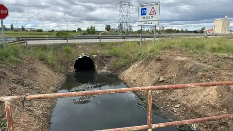 ca&ntilde;o de Benavente