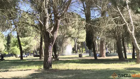 Valorio _6