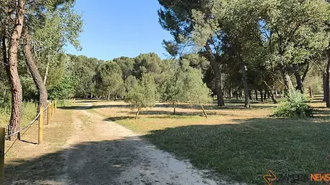 Valorio _10