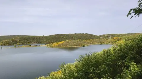 ricobayo_20