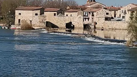 Ace&ntilde;as de Olivares