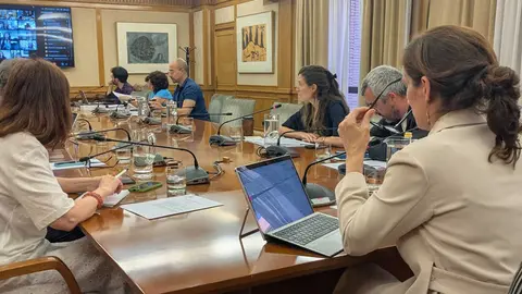 La ministra de Sanidad, M&oacute;nica Garc&iacute;a, durante la reuni&oacute;n de Consejo Interterritorial del Sistema Nacional de Salud (CISNS)