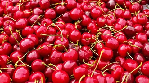 cerezas imagen de archivo