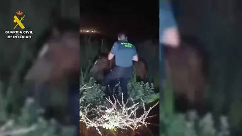 Im&aacute;genes del rescate Guardia Civil El Roc&iacute;o