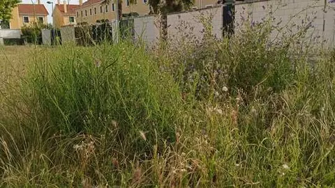 siglo XXI zamora si