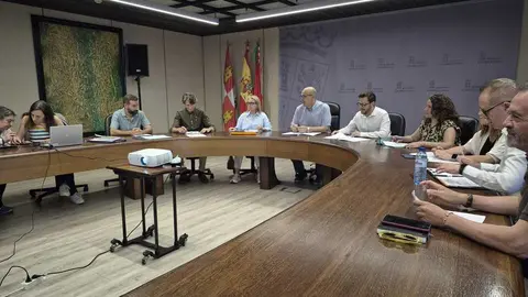 Comisi&oacute;n de Patrimonio Mayo