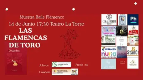 Las Flamencas dee Toro AECC 