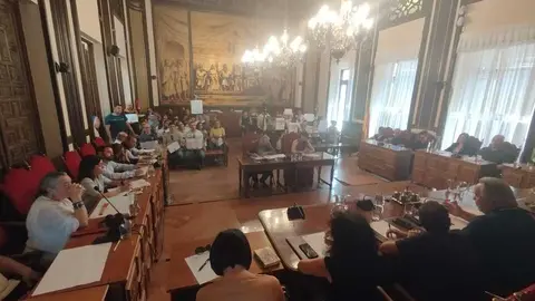 Pleno AYTO