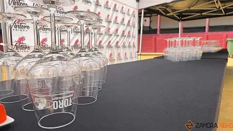 Feria del vino de Toro _4