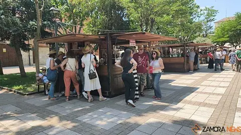 Feria del vino de Toro _7