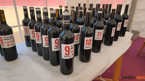 Feria del vino de Toro _9
