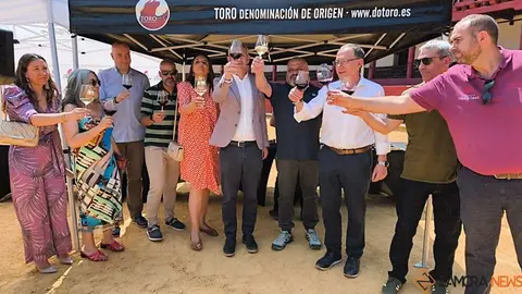 Feria del vino de Toro _10
