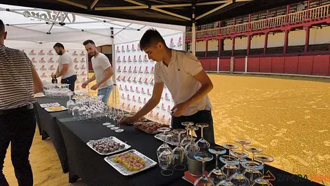 Feria del vino de Toro _17
