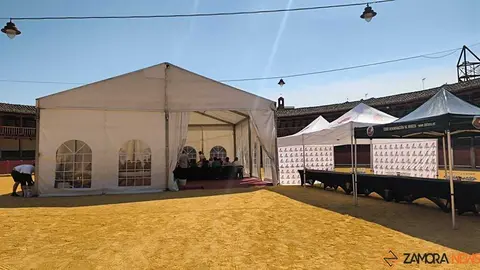 Feria del vino de Toro _27