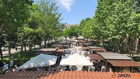 Feria del vino de Toro _29