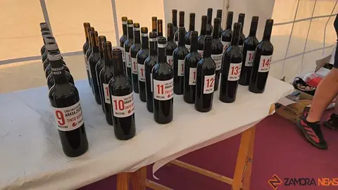 Feria del vino de Toro _33