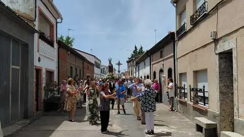 olmo 12
