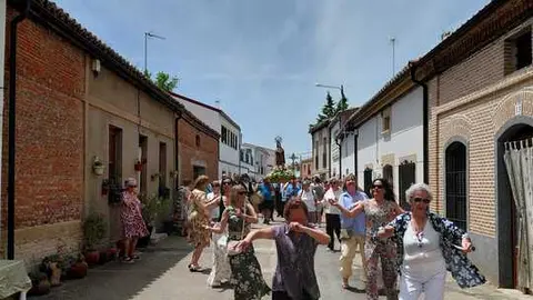 olmo 13
